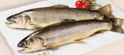 Interspar Fischzucht Gut Dornau Bachsaibling Angebot