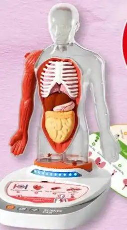 Interspar Top Bright Mein Körper Wissensreise Angebot