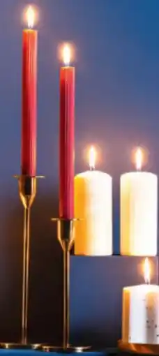 Hofer Home Creation Weihnachtskerzen Angebot