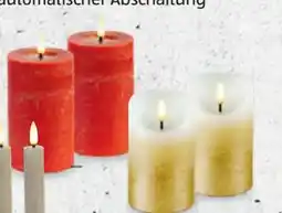 Hofer Home Creation LED-Echtwachskerzen Angebot