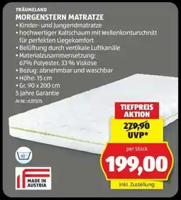 Hofer MORGENSTERN MATRATZE Angebot