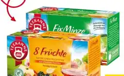 Transgourmet Teekanne Fixlinie Früchtetee Angebot