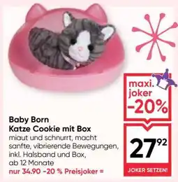 Maximarkt BABY born Katze Cookie mit Box Angebot