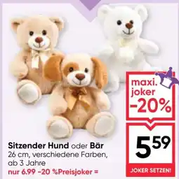 Maximarkt Sitzender Hund oder Bär Angebot