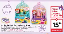 Maximarkt My Really Real Bird Indie oder Rosie Angebot