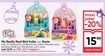 Maximarkt My Really Real Bird Indie oder Rosie Angebot