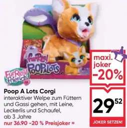 Maximarkt Poop A Lots Corgi Angebot