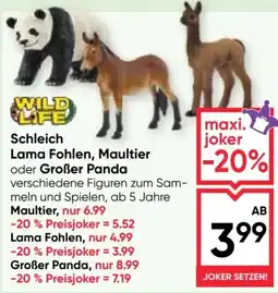 Maximarkt Schleich Lama Fohlen Maultier oder Großer Panda Angebot