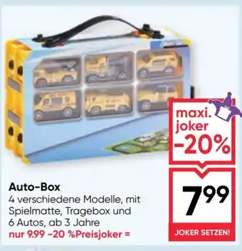 Maximarkt Auto-Box Angebot