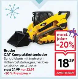 Maximarkt Bruder cat kompaktkettenlader Angebot