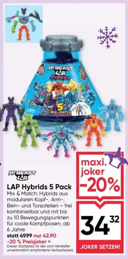 Maximarkt LAP Hybrids 5 Pack Angebot