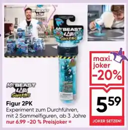 Maximarkt Figur 2PK Angebot