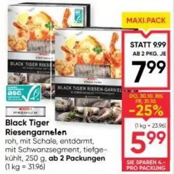 Black Tiger Riesengarnelen