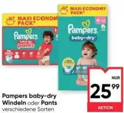 Maximarkt Pampers baby-dry Windeln oder Pants Angebot
