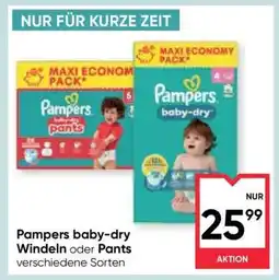 Maximarkt Pampers Baby Dry Angebot