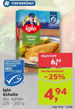 ADEG iglo Scholle Angebot