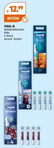 Müller Oral-b aufsteckbürsten kids Angebot