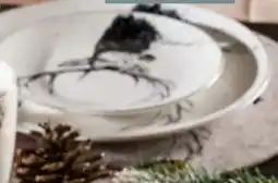 Woolworth Dessertteller Angebot