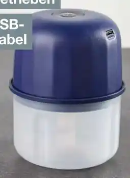 Woolworth Mini-Zerkleinerer Angebot