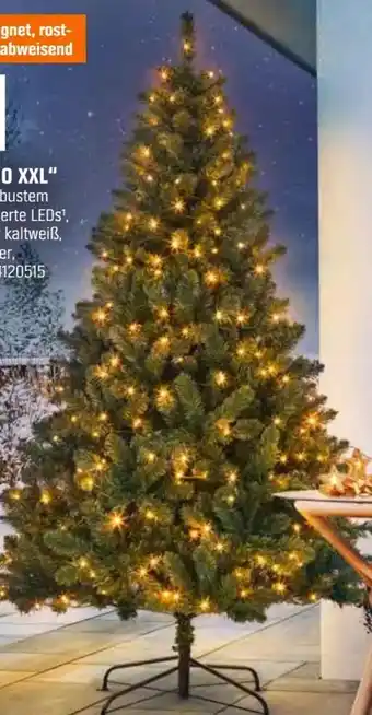 OBI Kunsttanne Tramso Angebot