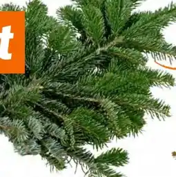 OBI Tannenzweige Nordmanntanne Angebot