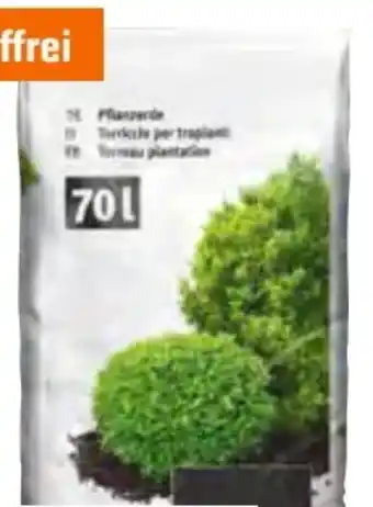 OBI Pflanzerde Angebot