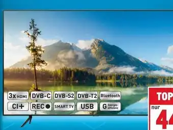 Metro QLED TV 43Q60T Angebot