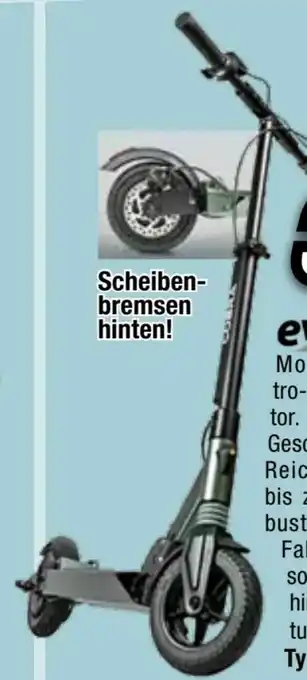 E-Scooter Cobra Venus 350 W