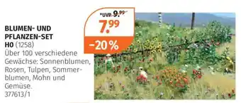 Blumen- und pflanzen-set
