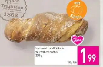 Hammerl Landbäckerei Wurzelbrot Kürbis