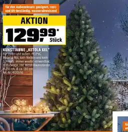 OBI Kunsttanne,,ketola xxl Angebot