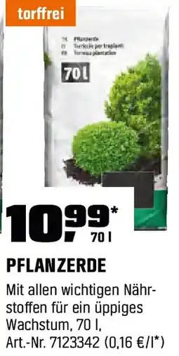 OBI Pflanzerde Angebot