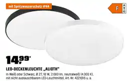 OBI Led-deckenleuchte alioth Angebot