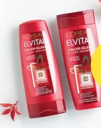 MPreis Elvital Low Shampoo Angebot