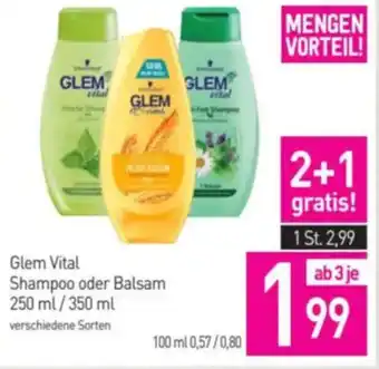 Glem Vital Shampoo oder Balsam