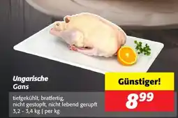 Nah&Frisch Ungarische Gans Angebot