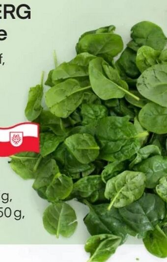 MPreis Spinat Angebot