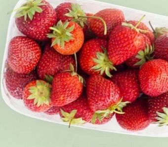 MPreis Erdbeeren Angebot