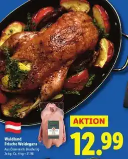 Lidl Waldland Frische Weidegans Angebot