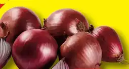 Lidl Zwiebeln Angebot