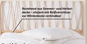 Lidl Polster-Decke Set Angebot