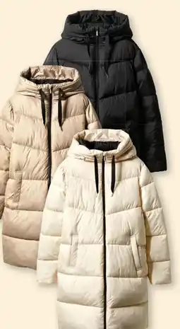 Lidl Esmara Damen Steppmantel Angebot