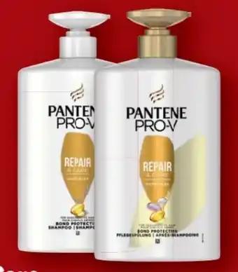 Lidl Pantene Pro-V Shampoo Repair & Care Angebot