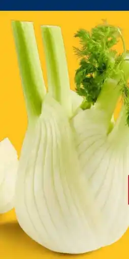 Lidl Fenchel Angebot