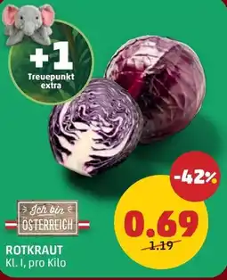 PENNY Rotkraut Angebot