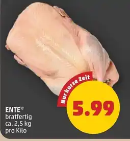 PENNY Ente Angebot