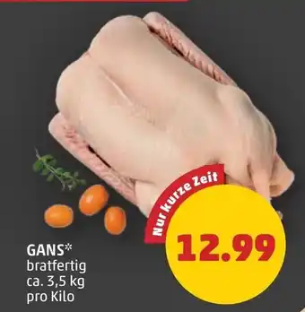 PENNY Gans Angebot