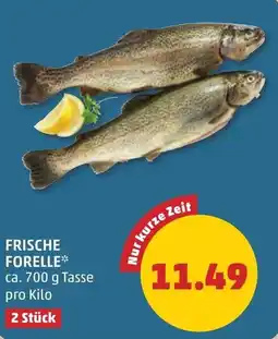 PENNY Frische forelle Angebot