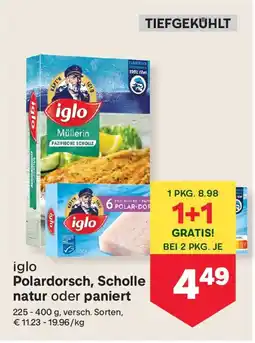 MPreis Iglo Polardorsch Angebot
