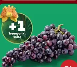 PENNY Trauben Angebot